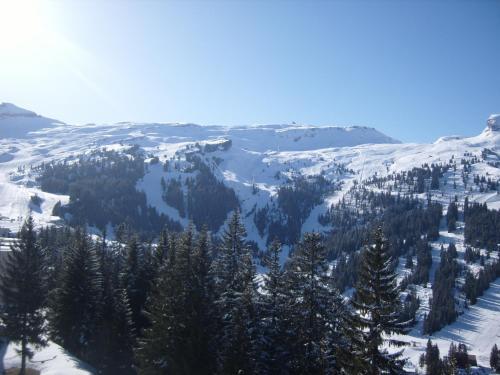 Les Pleiades 3* Flaine