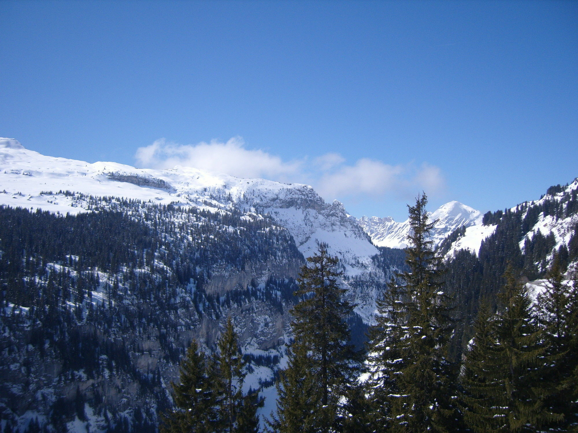 Les Pleiades Flaine